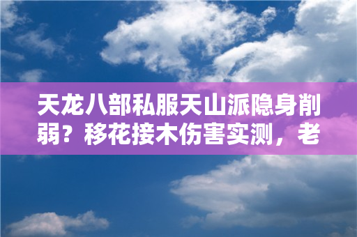 天龙八部私服天山派隐身削弱？移花接木伤害实测，老玩家：还能玩吗？
