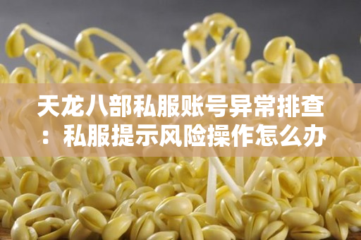 天龙八部私服账号异常排查：私服提示风险操作怎么办？附解决步骤