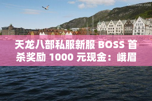 天龙八部私服新服 BOSS 首杀奖励 1000 元现金：峨眉玩家组队速来，坐标 XX 地图