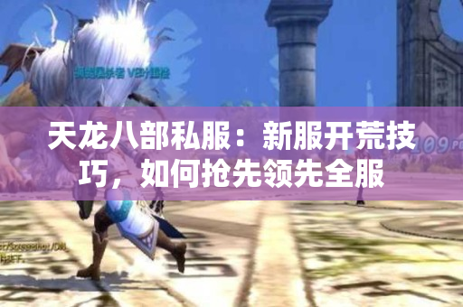 天龙八部私服：新服开荒技巧，如何抢先领先全服