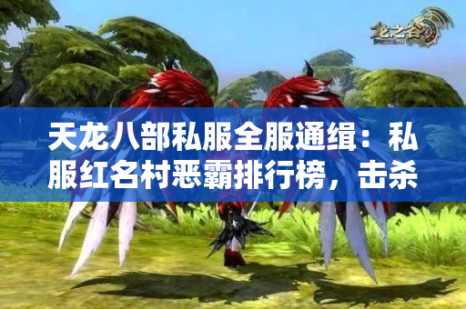天龙八部私服全服通缉：私服红名村恶霸排行榜，击杀奖励万元宝