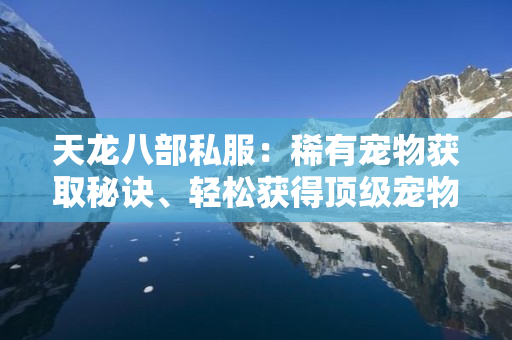 天龙八部私服：稀有宠物获取秘诀、轻松获得顶级宠物