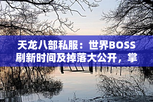 天龙八部私服：世界BOSS刷新时间及掉落大公开，掌握先机轻松击杀
