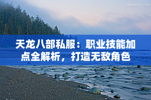 天龙八部私服：职业技能加点全解析，打造无敌角色