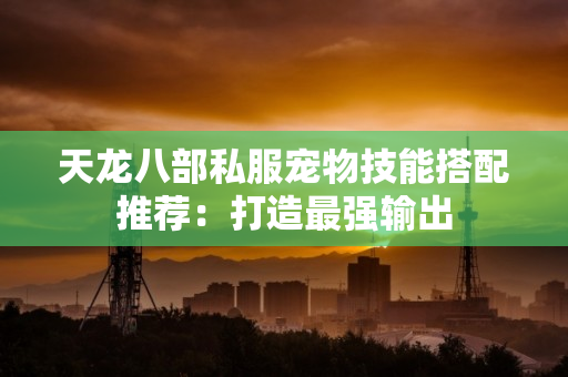 天龙八部私服宠物技能搭配推荐：打造最强输出