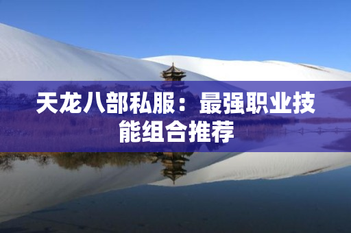 天龙八部私服：最强职业技能组合推荐