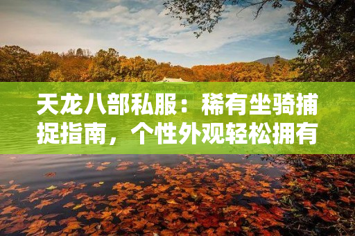 天龙八部私服：稀有坐骑捕捉指南，个性外观轻松拥有