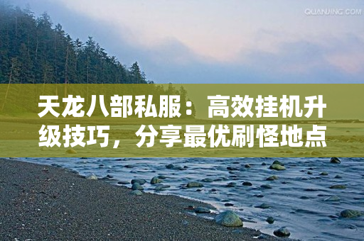 天龙八部私服：高效挂机升级技巧，分享最优刷怪地点