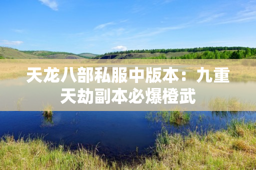 天龙八部私服中版本：九重天劫副本必爆橙武