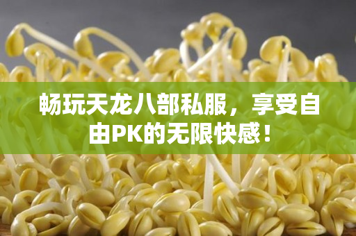 畅玩天龙八部私服，享受自由PK的无限快感！