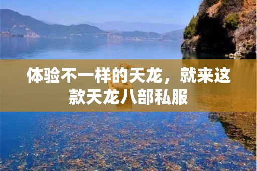 体验不一样的天龙，就来这款天龙八部私服