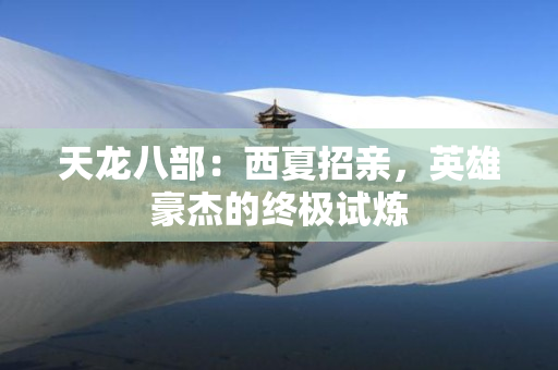 天龙八部：西夏招亲，英雄豪杰的终极试炼