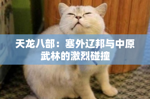 天龙八部：塞外辽邦与中原武林的激烈碰撞
