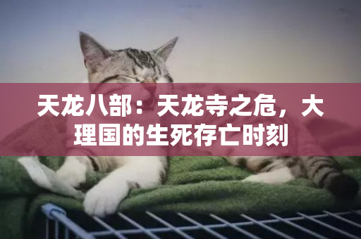 天龙八部：天龙寺之危，大理国的生死存亡时刻