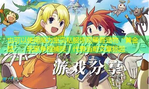 魔力宝贝私服惊现稀有宠物“黄金鼠”，玩家争相捕捉！